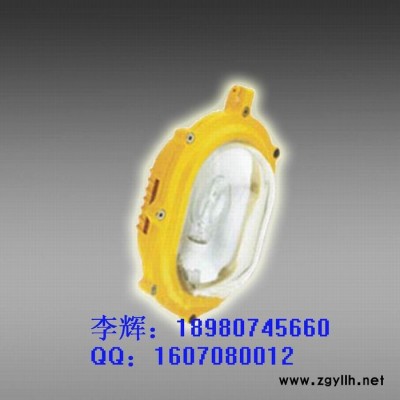 供应BLC8610 防爆道路灯 BFC8120 NFC9180