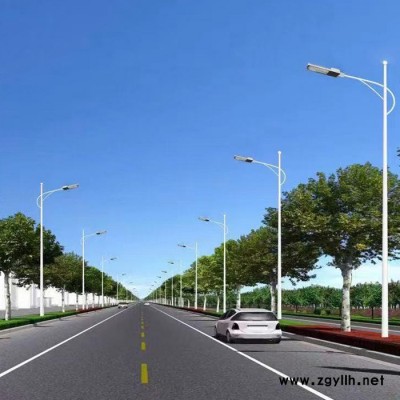 路灯厂家 超亮LED户外6米高杆灯 道路照明景观庭院灯