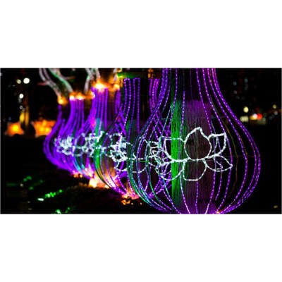 选择景观灯饰 园林景观亮化 街道景观亮化 树木景观亮化—夜空彩虹