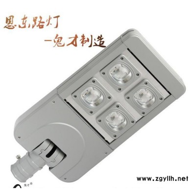 恩东照明 LED路灯 户外灯道路灯 公路 桥梁 照明 120