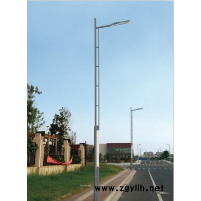 中正照明LED道路灯 可定制 保质 保量 节省能源