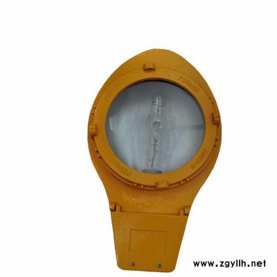 信远GBL5211_防爆道路灯_电厂灯_加油站灯_投光灯_原型号BLC8610