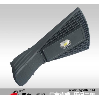 恩东照明 LED路灯 户外灯道路灯 鱼尾灯100W 160W