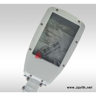 恩东照明 LED路灯 户外灯道路灯 公路照明 40W