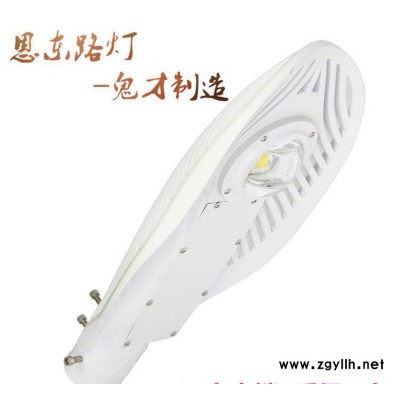 恩东照明 LED路灯 户外灯道路灯 公路照明 桥梁照明 10