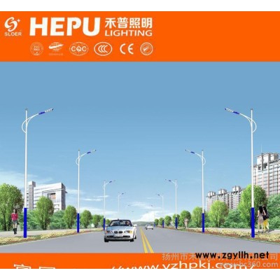 直销 单臂道路灯系列品质保证 量大从优6/7/8/9/12米