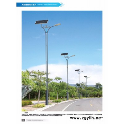 太阳能路灯 防水led新农村道路灯
