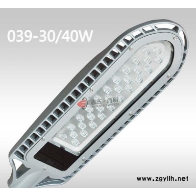 恩东照明 LED路灯 户外灯道路灯 鱼骨灯30W 40W 6