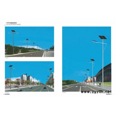 30W市电led路灯_市电庭院led路灯_蓝色市电led道路灯