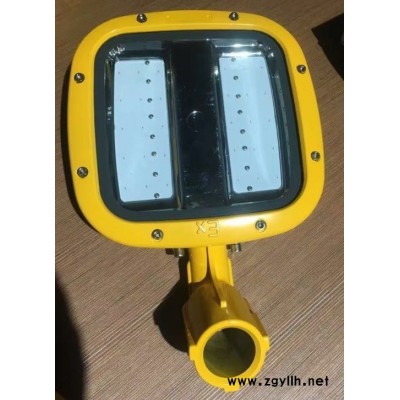 防爆道路灯荣民电气RMBL167 HRD93防爆照明灯防平台灯LED防爆泛光灯防爆路灯