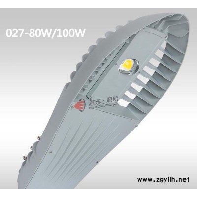 恩东照明 LED路灯 户外灯道路灯 鱼翅灯80W 100W