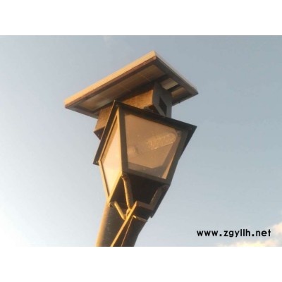 中电南方供应CES-20LED迷你小路灯 小区道路灯 景观灯