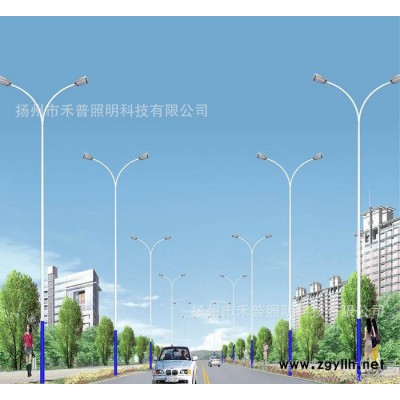 节能环保直销 马路照明灯 双臂灯道路灯60W LED路灯
