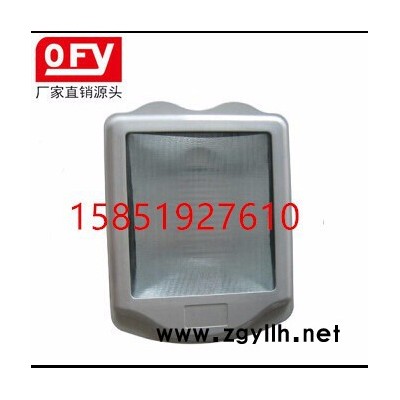 NSC9700防眩通路灯 道路灯 防爆金卤灯 防爆灯生产厂家