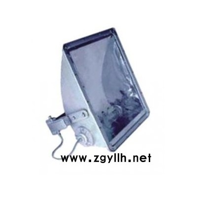 标普NTC9300小型投光灯景观灯海洋