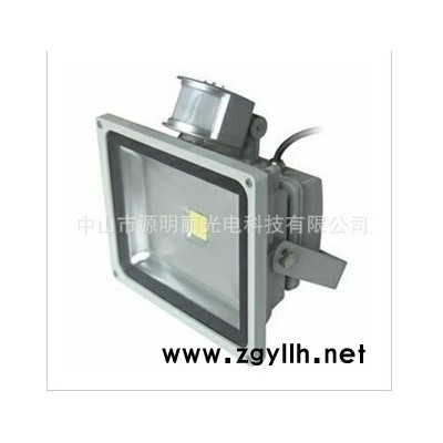 30W LED感应泛光灯 景观灯 LED投光灯 室外灯 人体感应灯