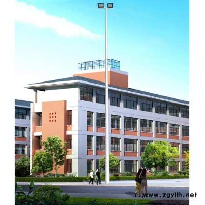 东发照明 10米、12米、15米中杆灯厂家  户外照明 庭院灯 草坪灯