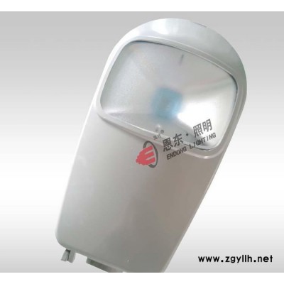 恩东照明 LED路灯 户外灯道路灯 公路照明 50W