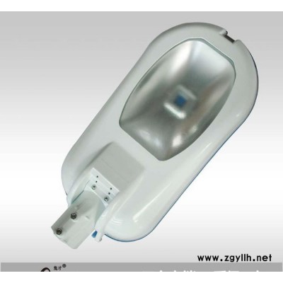 恩东照明 LED路灯 户外灯道路灯 公路照明 60W