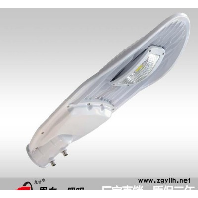 恩东照明 LED路灯 户外灯道路灯 公路照明 桥梁照明 60