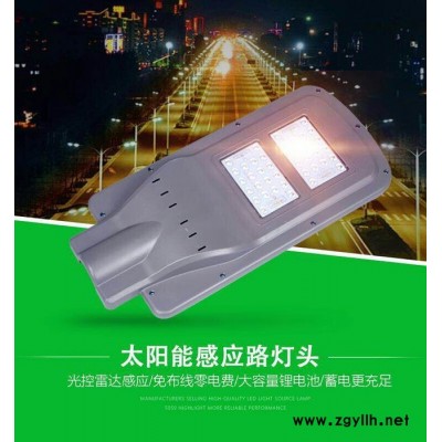 40W太阳能庭院灯 太阳能路灯