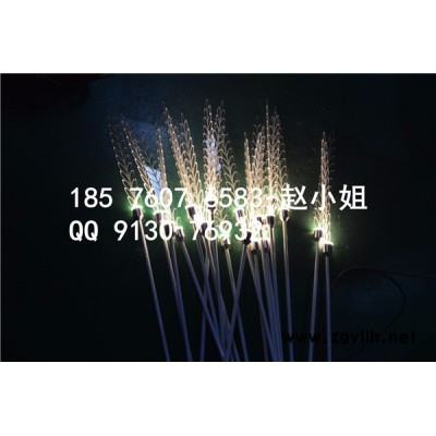 Andes莲花灯设计图片**安装效果图，超低价格现货供应景观灯