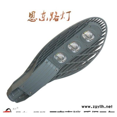 恩东照明 LED路灯 户外灯道路灯 高杆灯 网拍100W 1