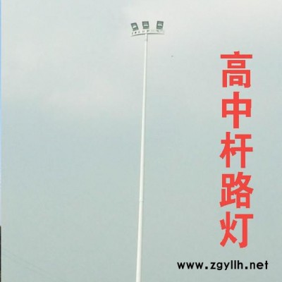 骆电LD 四川路灯厂家 骆电**9米-20米庭院灯高杆灯新农村LED道路灯广场灯