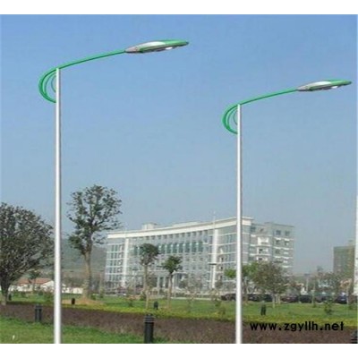 304不锈钢灯杆 不锈钢道路灯杆 不锈钢庭院灯杆