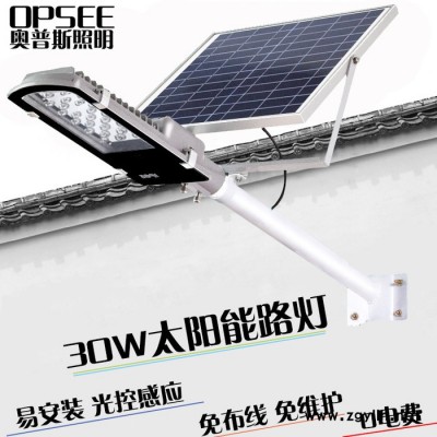 30W金豆太阳能路灯户外防水led家用新农村道路灯光控感应庭院灯