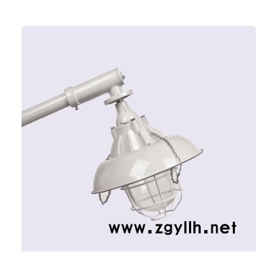 BAD52- MD系列防爆马路灯    AC220V防爆道路灯