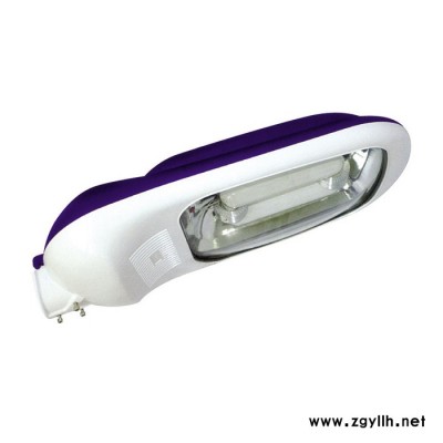 厂家供应道路灯马路灯无极灯路灯