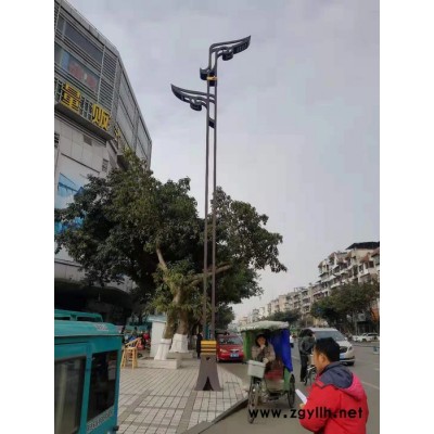 四川中晨照明12米 景观灯