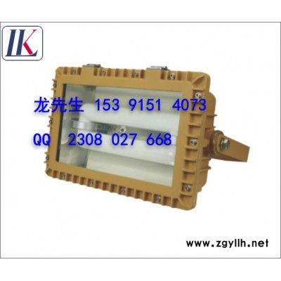 供应 雷科LK-SBD1120（SBD1109)免维护节能防爆道路灯