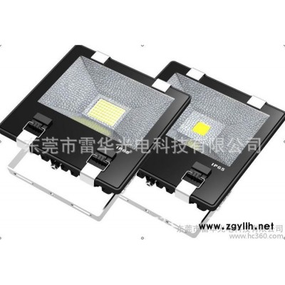 50W投光灯 LED投光灯 泛光灯 广告灯 道路灯 直销