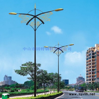 明间照明6米道路灯30W小金豆灯具适用新农村改造 单双臂路灯杆