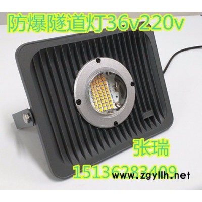 祥瑞照明SDW50-ZR景观灯,led隧道专用灯、led冷库专用灯、led盾构专用灯、低压隧道专用灯