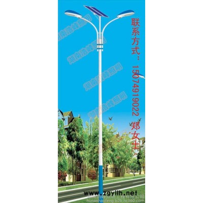 新农村建设LED太阳能道路灯**浩峰照明