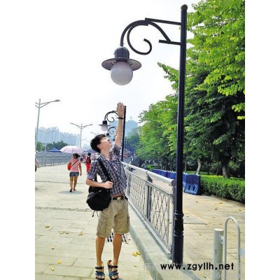 供应小区或公园里的3米-5米的庭院灯