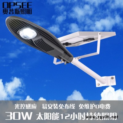 30W宝剑太阳能路灯户外防水led家用新农村道路灯光控感应庭院灯