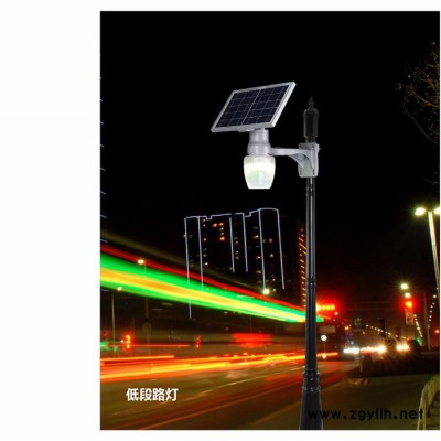 华威迪LED 庭院灯