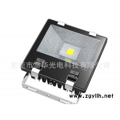 50W投光灯 LED投光灯 泛光灯 广告灯 道路灯 直销