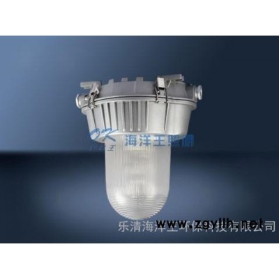 矿灯 海洋王NFC9180 海洋王道路灯 海洋王防爆灯 NFC9180