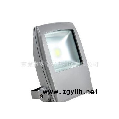 50W投光灯 LED投光灯 泛光灯 广告灯 道路灯 防水投光