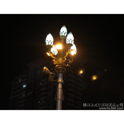 庭院灯哪里有的卖，哪里的厂家生产？