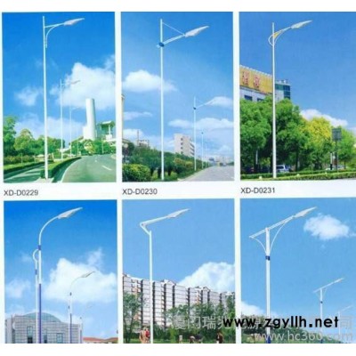 led路灯30W 高杆灯道路照明灯 庭院景观灯 led防水户外灯直销