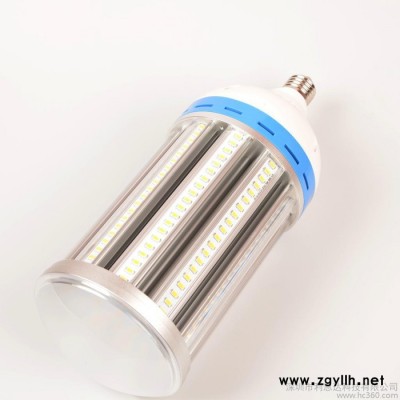 大功率80WLED庭院灯 **