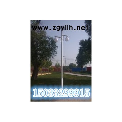 供应太阳能LED庭院灯，5米庭院灯