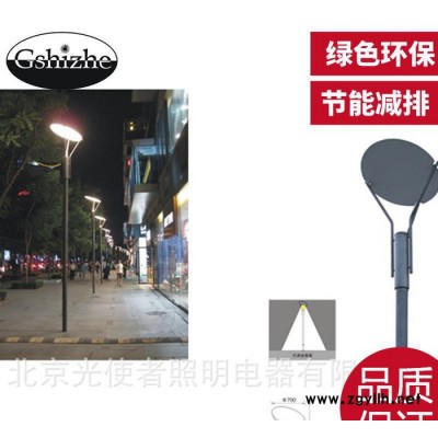 别墅区庭院灯 道路商业街led庭院灯70w150w G4