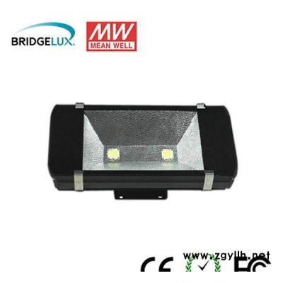 专业100WLED隧道灯 道路灯 LED灯